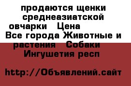 продаются щенки среднеазиатской овчарки › Цена ­ 30 000 - Все города Животные и растения » Собаки   . Ингушетия респ.